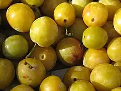 Mirabelles.