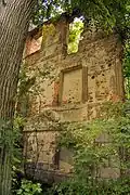 Ruines du château de Herzogswaldau