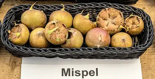 Fruit.
