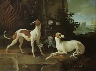 Misse et Turlu, les levrettes de Louis XV (1725), musée national du château de Fontainebleau.