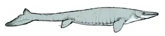 Description de l'image Moanasaurus2.png.