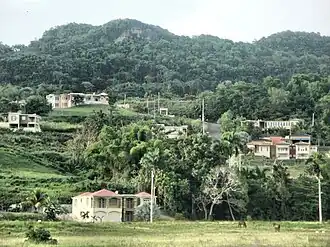 Moca (Porto Rico)