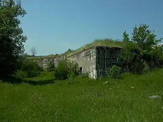 Błogosławie