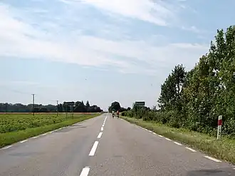Modryniec