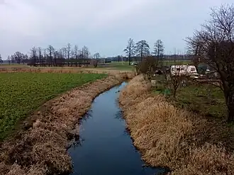 Troszczyn