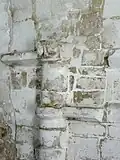 Vestige de l'arc diaphragme.