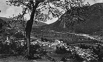 Moiola