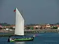 Moliceiro naviguant à la voile dans la lagune d'Aveiro avec des touristes à son bord.