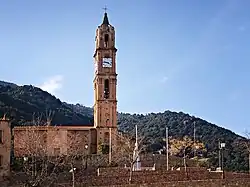 Moltifao.