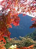 Kurama (Kyoto).