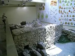 Vue du site.