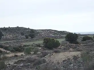Monegros