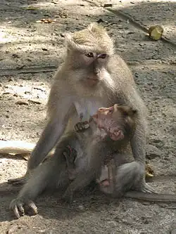 Une mère et son enfant