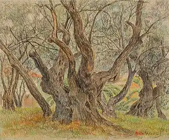 Olivier monstrueux, 1928Musée des Beaux-Arts de Gand