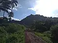Mont-Manengouba