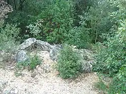 Dolmen du Lèque de Gaffe n°1