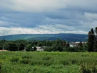 En avant-plant, un champ. En arrière-plan, une colline boisée plantée d'éoliennes.