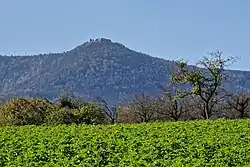 Mont Saint-Odile
