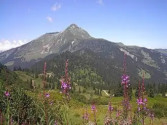 Le mont de Grange vu depuis Plaine-Dranse (commune de Châtel)