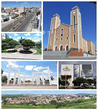 Pau dos Ferros