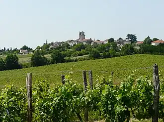 Image illustrative de l’article Buzet (AOC)