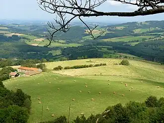 La Montagne bourbonnaise, dans le sud-est.