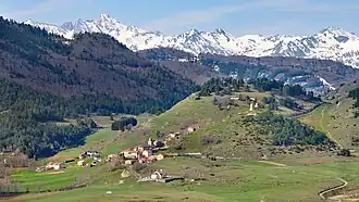 Montaillou