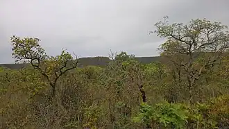 Montalvânia