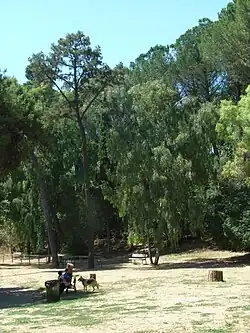 Le Monte Mario.