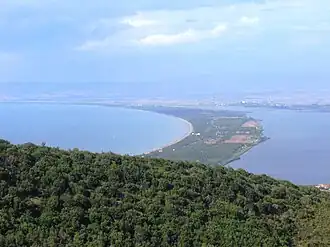 Giannella