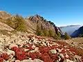 Monte Bravaria