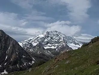 Le Monte Disgrazia.