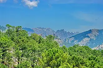 Monte Incudine et fourches d'Asinao.