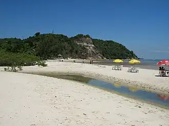 Saubara