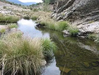 Navas de Estena
