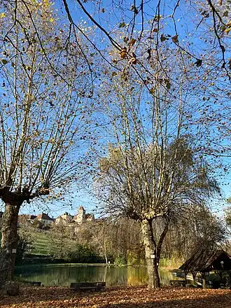 Montfaucon (Lot)