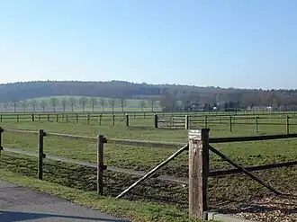 Montferland (commune)
