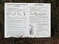 Explications du télégraphe Chappe.