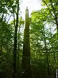 Cheminée géodésique de Montgenost