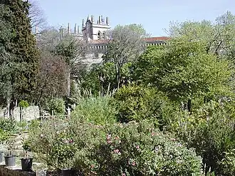 Le jardin des plantes de Montpellier.
