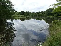Un des étangs.