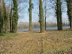 Un des étangs.