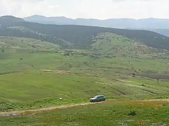 Oranie