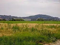 Mont des Récollets vu depuis Hondeghem