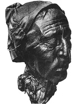 Visage de l'Homme de Tollund