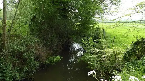 Ruisseau de la Grande Steenbecque