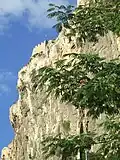 Vue en contre-plongée depuis la Grande Rue du village sur la falaise calcaire.