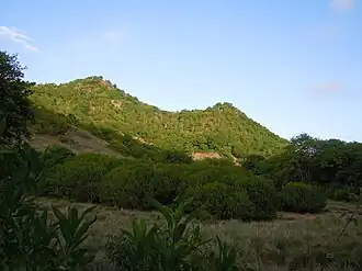 Vue du versant ouest du morne à Craie.