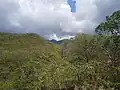 Morne Lézard (96&nbsp;m).