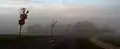 Brouillard matinal sur Osted.